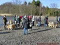 grosee (11)